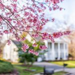 selling your home in the spring