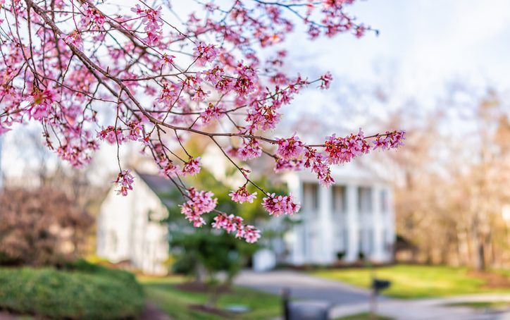 selling your home in the spring