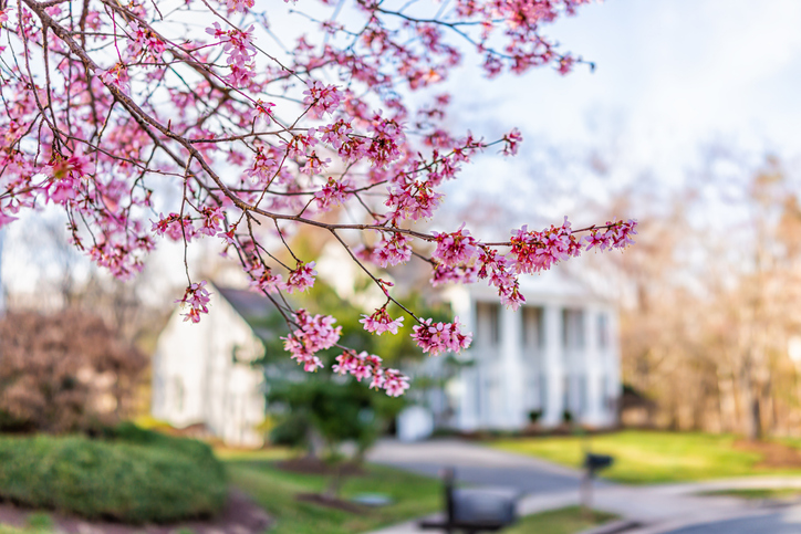 selling your home in the spring